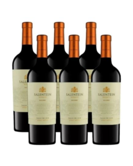 Salentein RVA Malbec x6