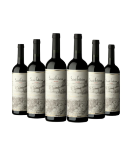 Saint Felicien Malbec 750 ml x 6